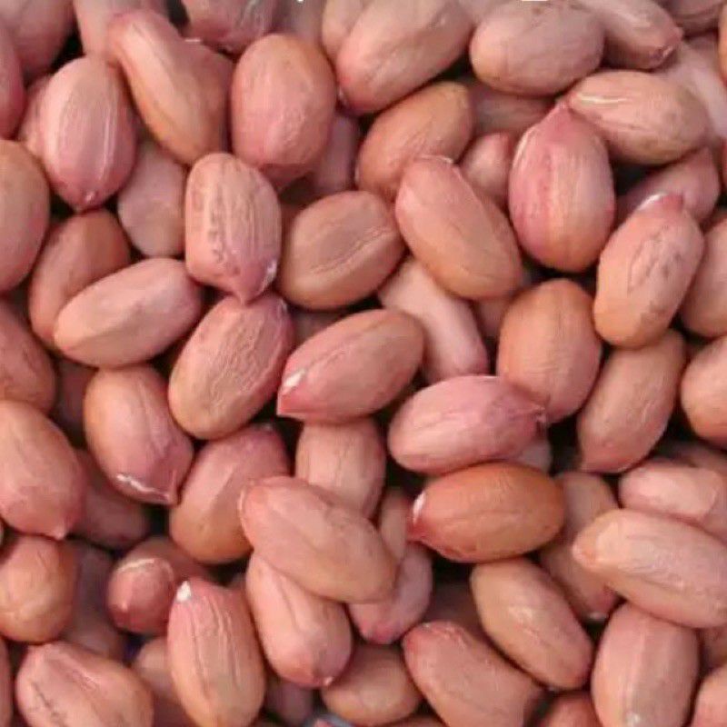 Đậu phộng sống chưa rang