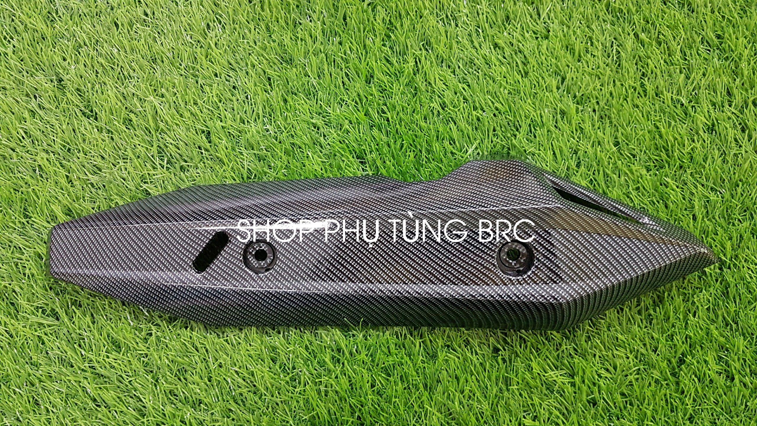 Che pô phủ cacbon xe VARIO 2018 - 2019
