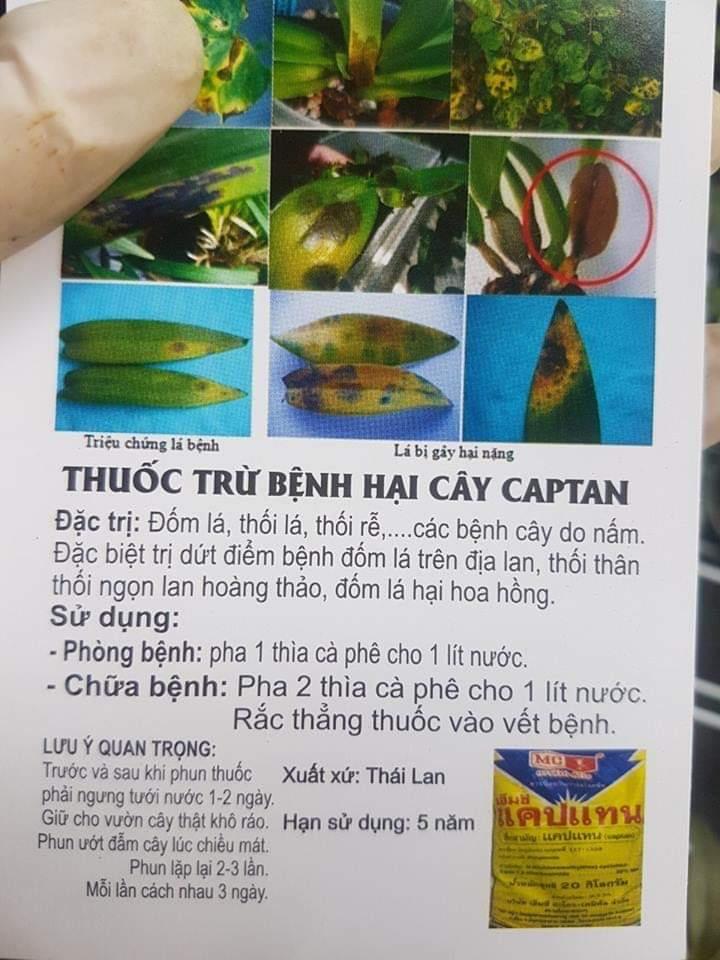 Phòng và trị thối nhũn thái lan Captan - captan