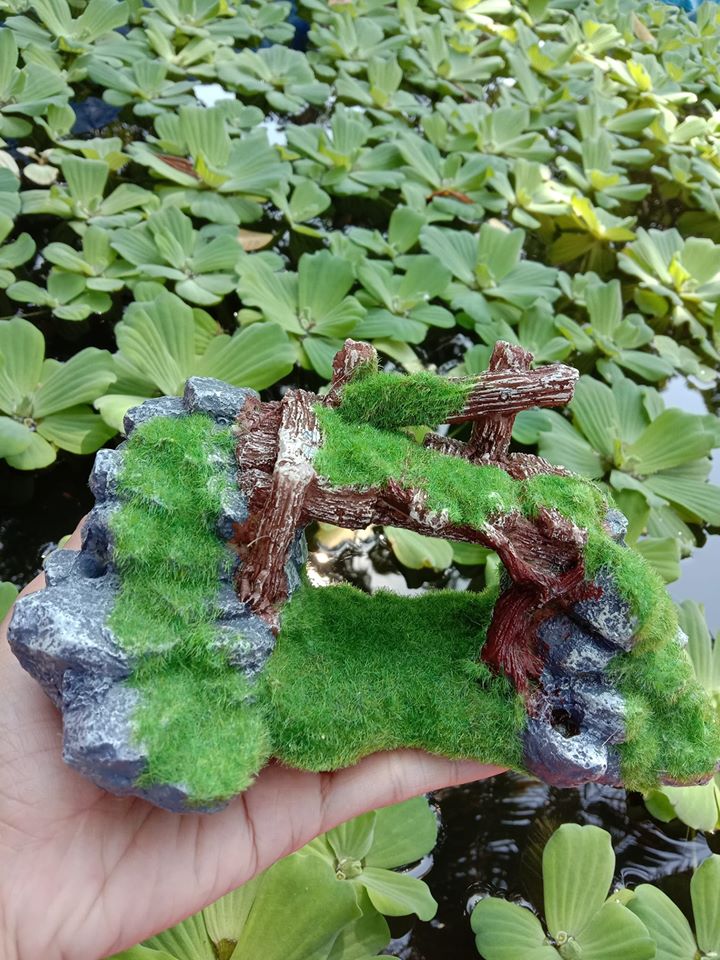 Cầu đá phủ rêu trang trí bể cá