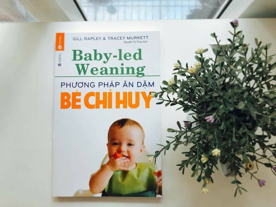 Phương Pháp Ăn Dặm Bé Chỉ Huy (Baby Led-Weaning)