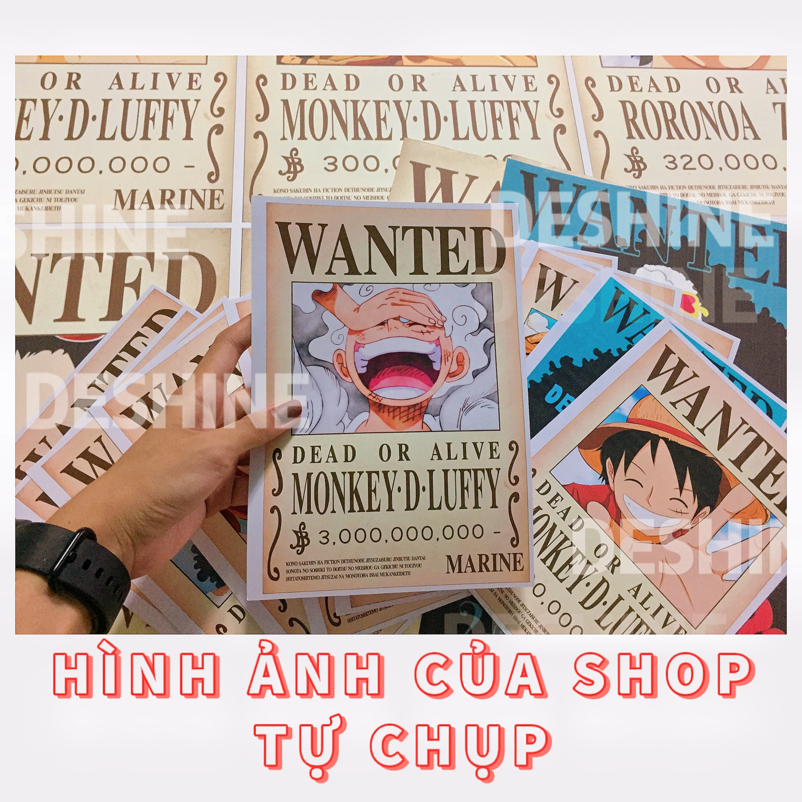 Poster truy nã One Piece