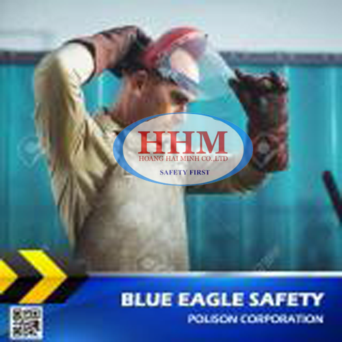 Mặt nạ mài cắt Blue Eagle B1YE-FC45