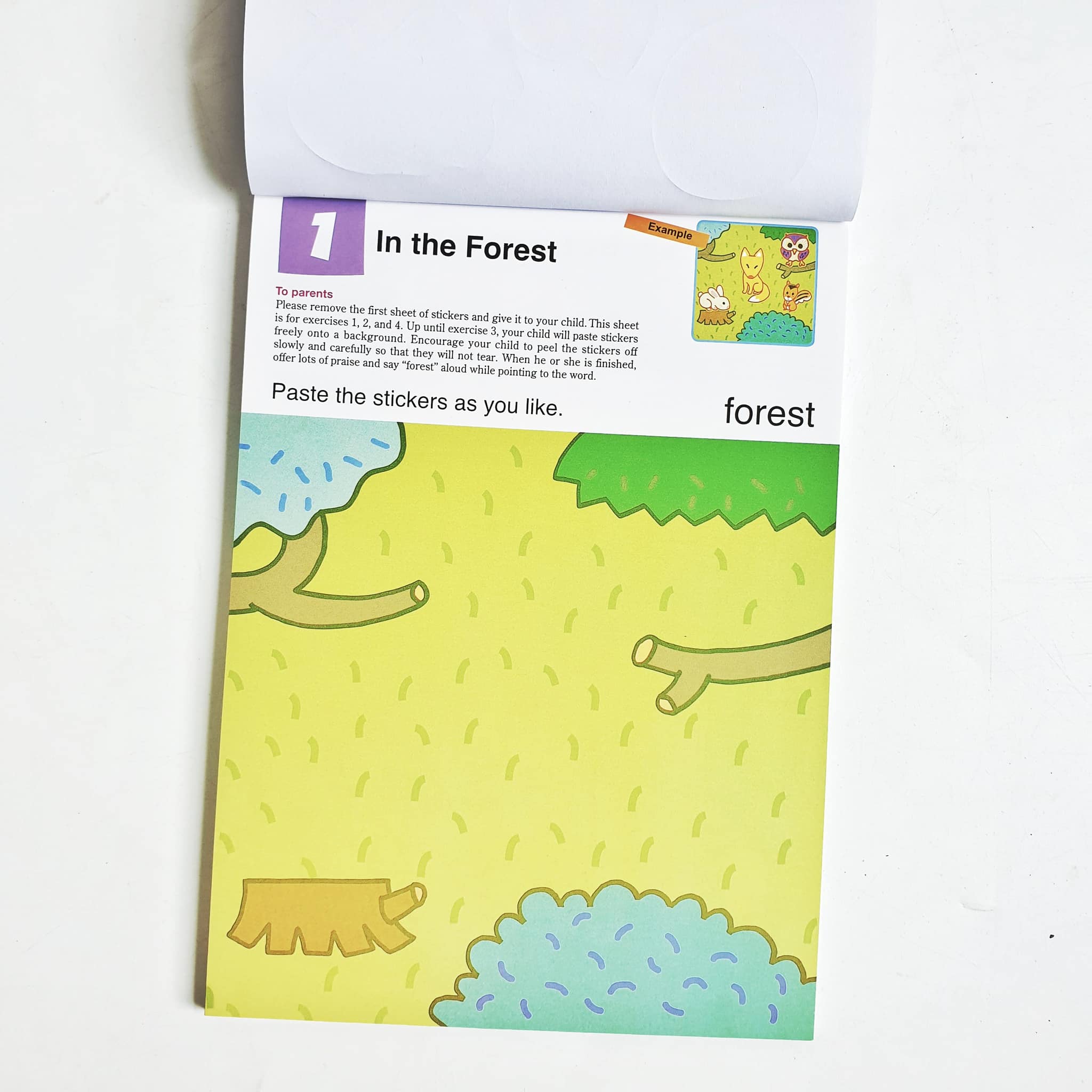 [Nhập khẩu] Kumon First Steps - 12q