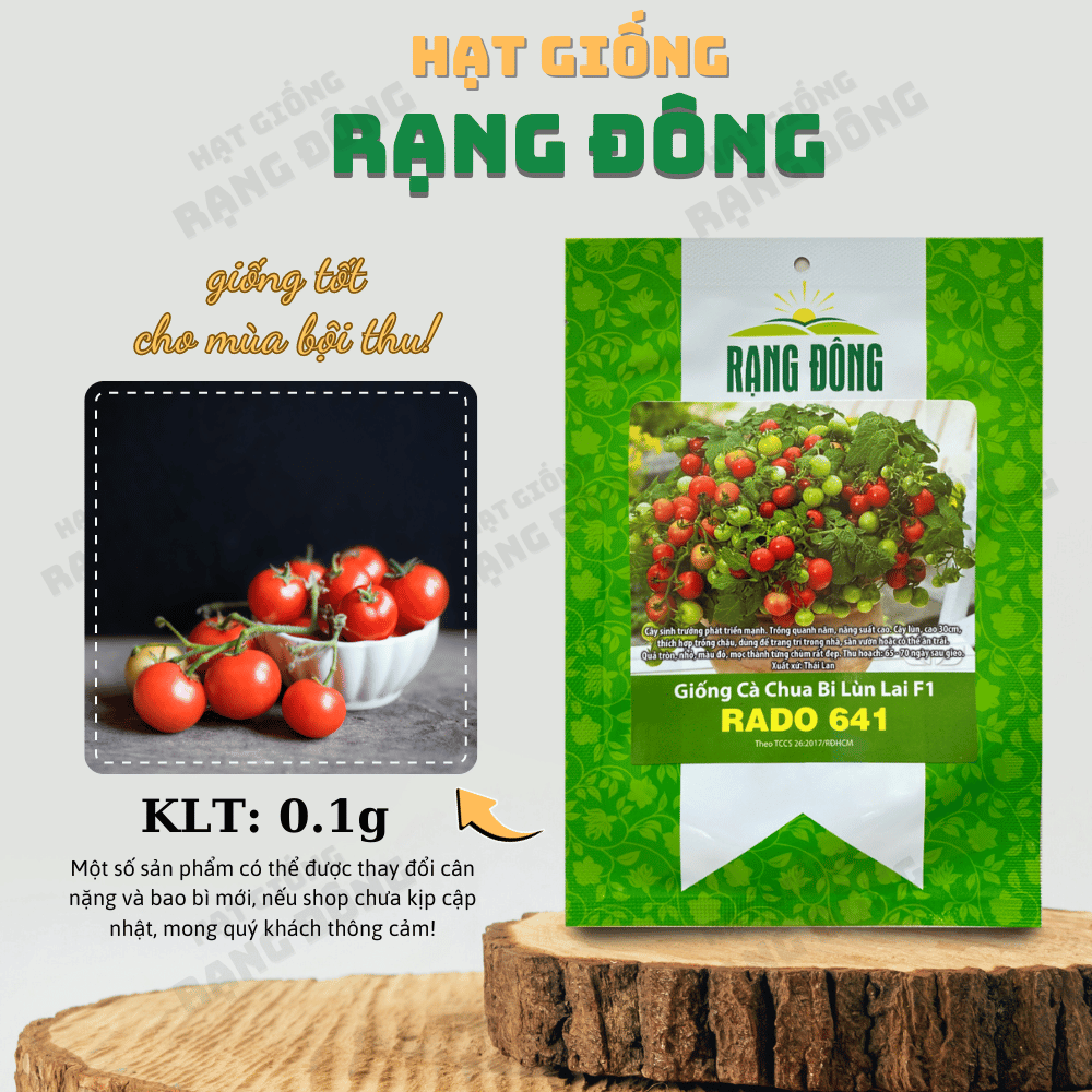 Hạt giống Cà Chua Bi Lùn Lai F1 Rado 641 (gói 0.1 gr) - trái đỏ, thân lùn, nảy mầm tốt, sinh trưởng khỏe, trồng quanh năm, thích hợp trồng chậu - Hạt giống Rạng Đông
