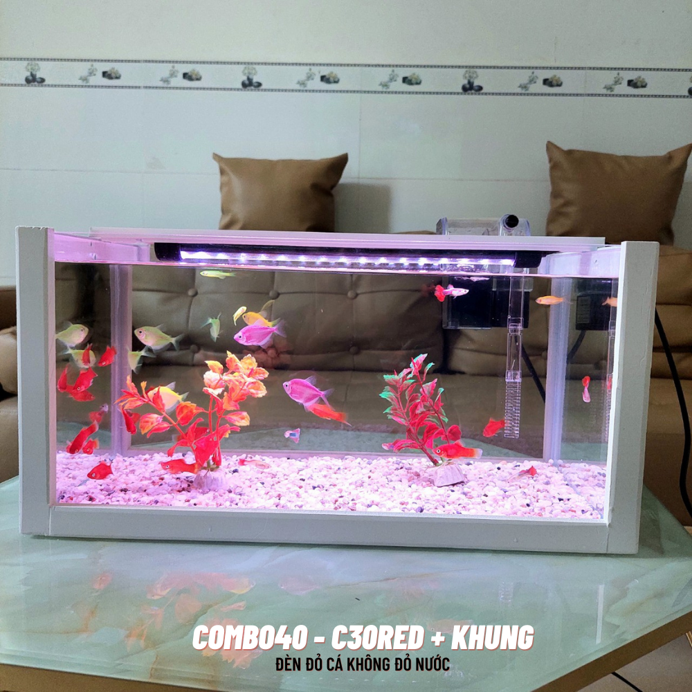 Bể cá mini 40cm COMBO đầy đủ phụ kiện