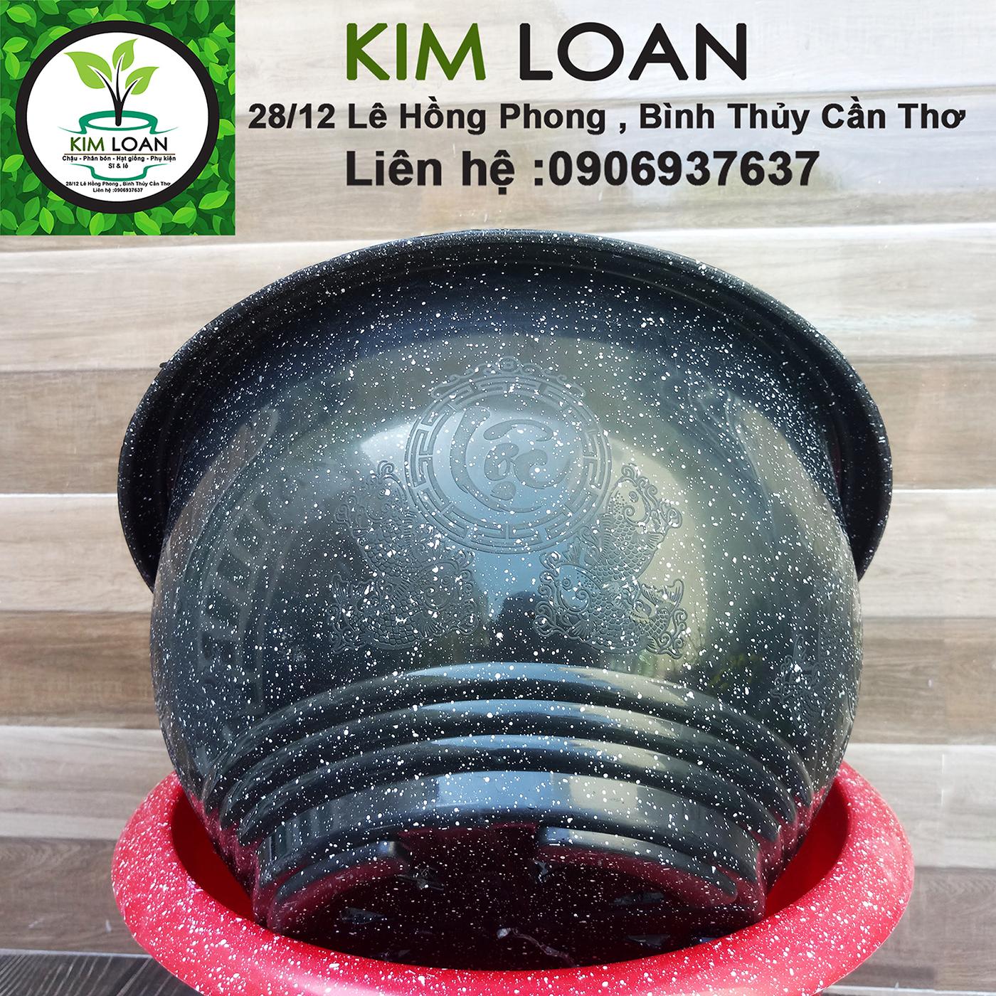 Combo 4 chậu tròn vân đá Cát Tường 35x20cm