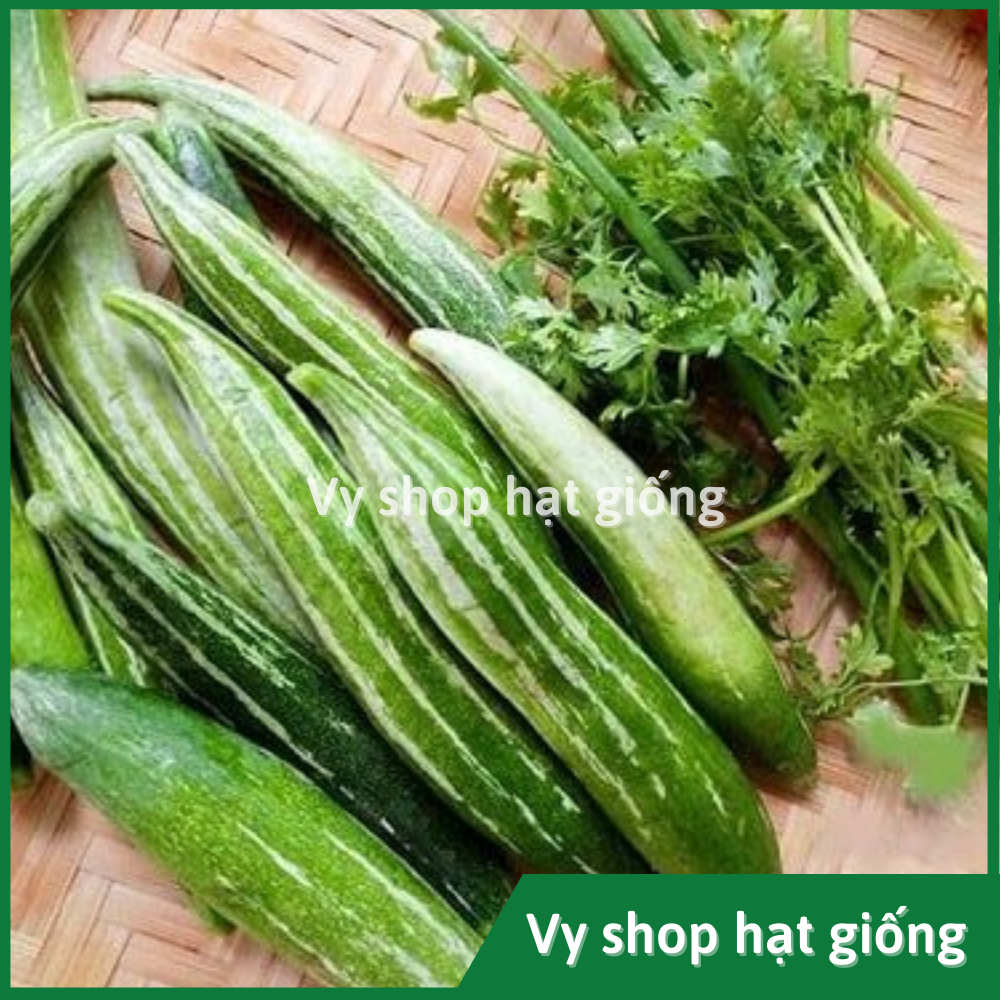 Hạt giống lặc lè (lặc lày, mướp mèo, mướp ngọt...) gói 5 hạt nhập Thái Lan