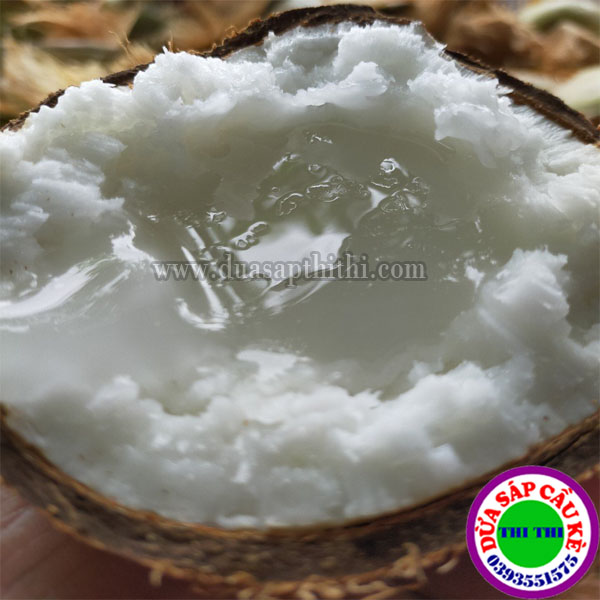 COMBO 2 DỪA SÁP BI ĐẶC (600gr-800gr)