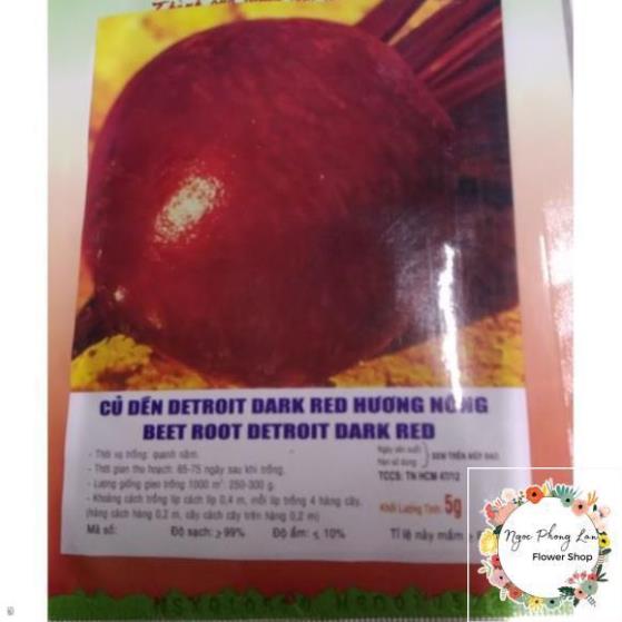 Hạt Giống Củ Dền - Gói 5 Gram