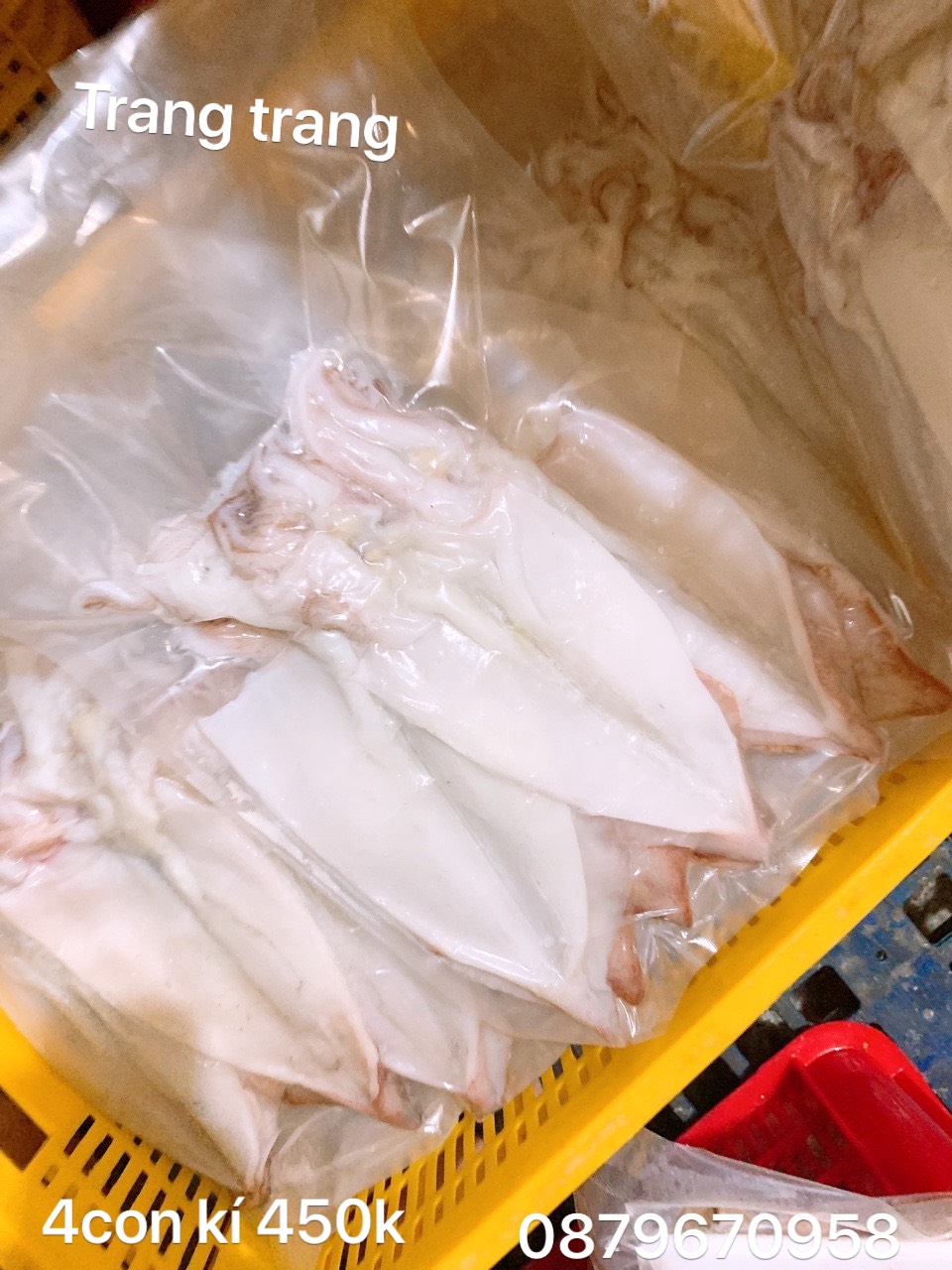 [HCM]1kg Khô Mực 1 nắng cà mau