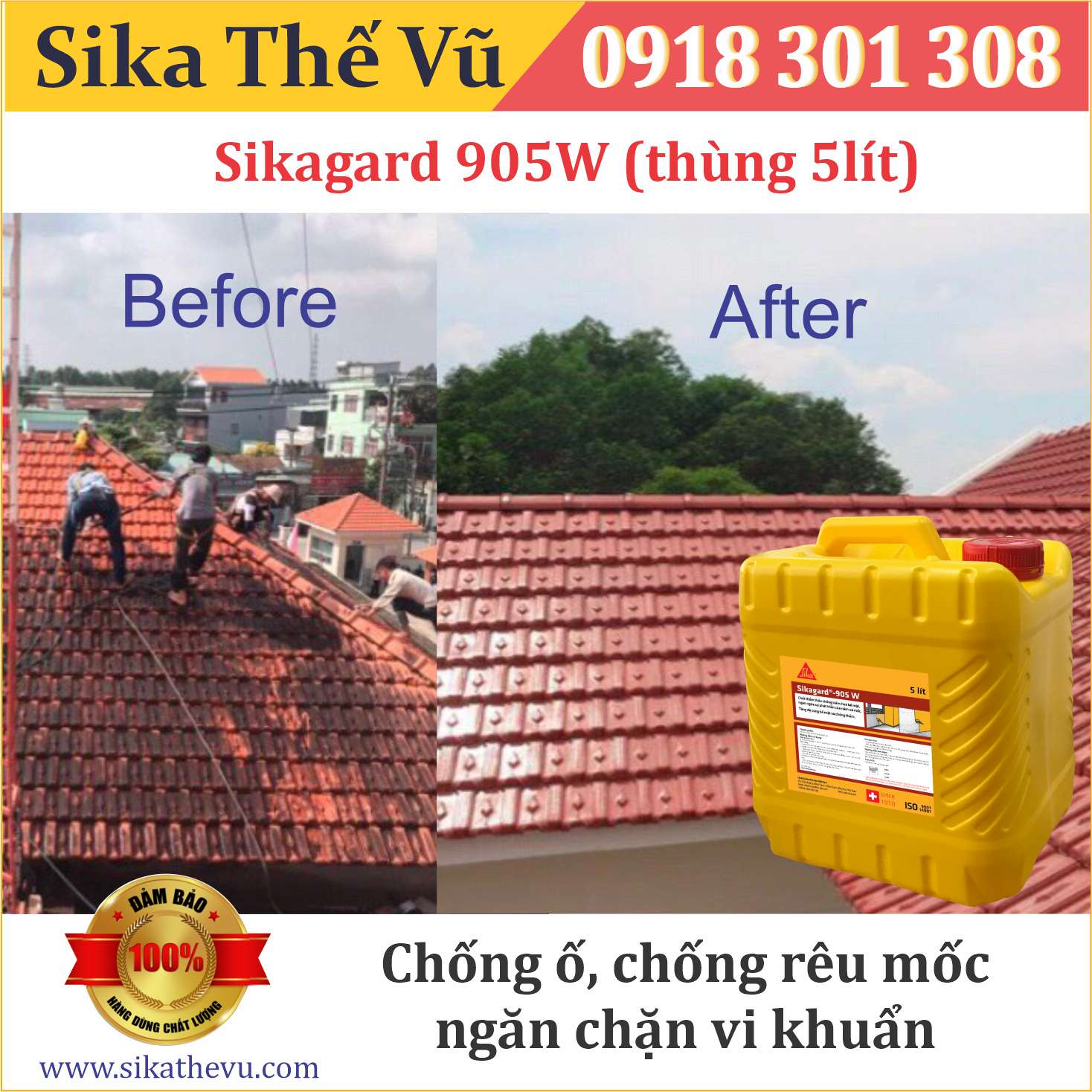 Chống ố, chống rêu móc thẩm thấu vô hình _ Sikagard 905W - 05 lít - SIKA THẾ VŨ