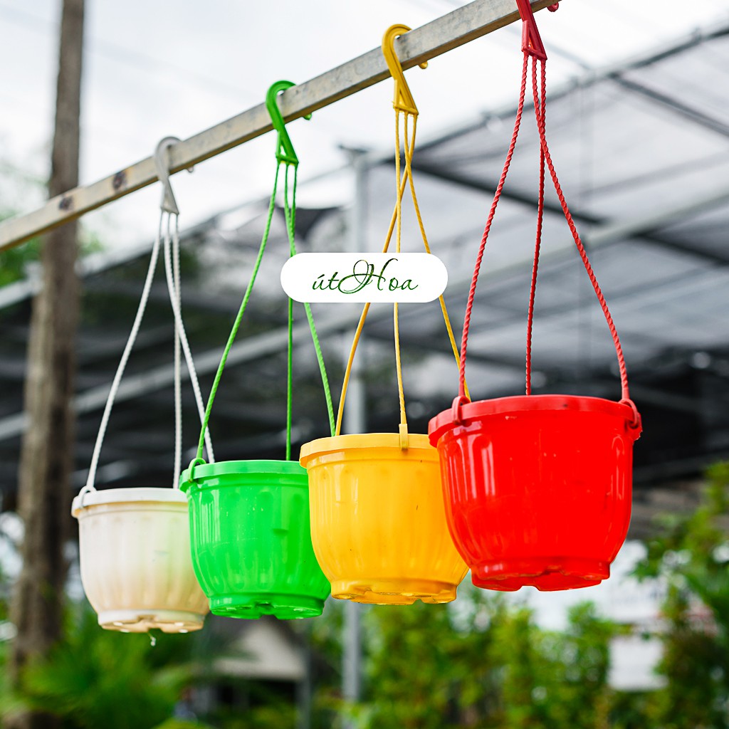 Chậu Treo Trái Bí Mini Trồng Sen Đá, Hoa Kiểng (Kèm Dây Treo)