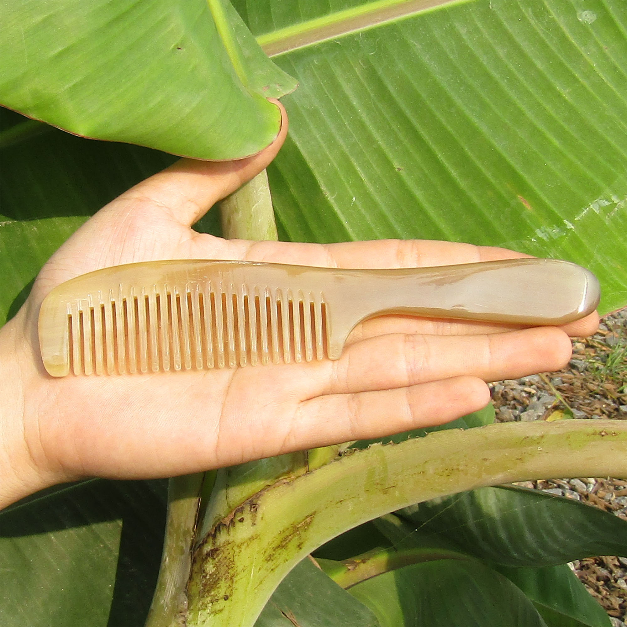 Lược Sừng Bỏ Túi xuất Nhật Cỡ M