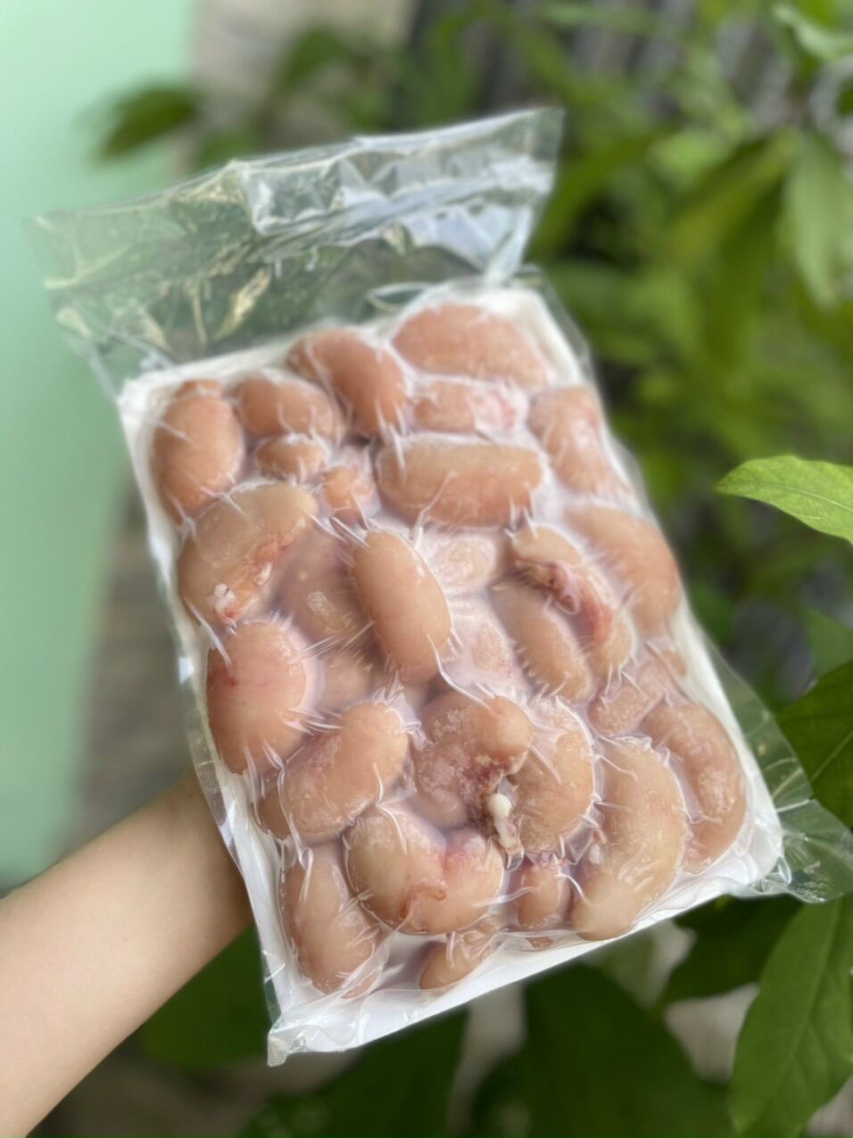 Ngọc kê gà Tây 1kg (giao tphcm)