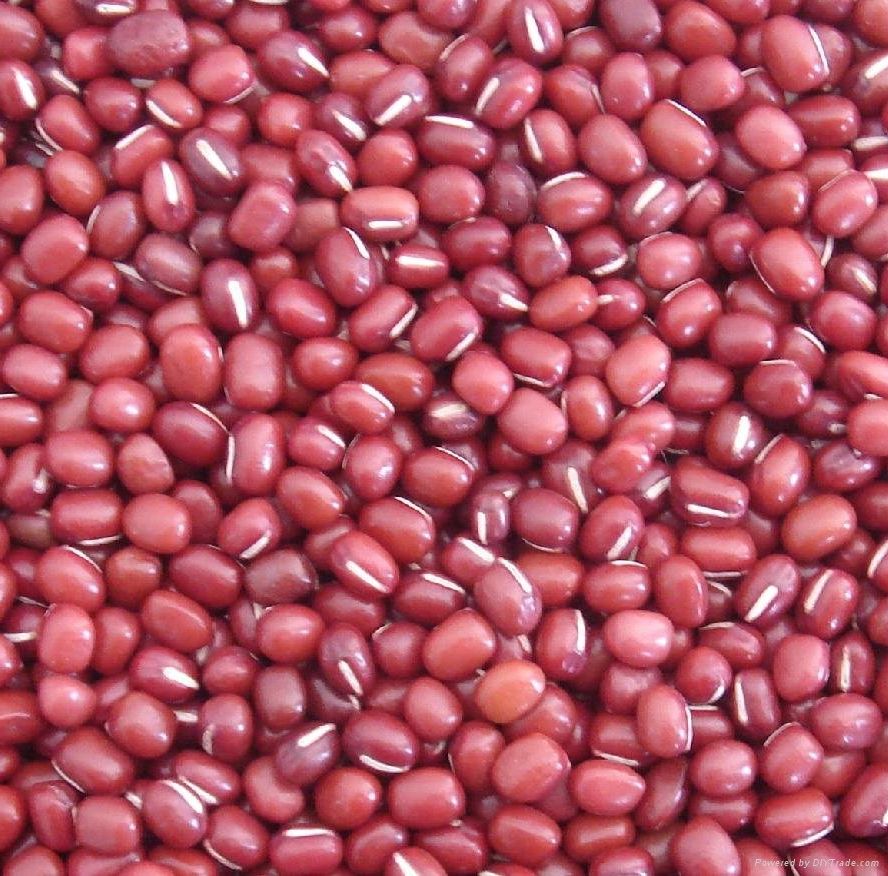 Đậu đỏ nhà trồng daklak 1kg