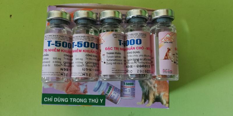 5 chai T5000 10 ml Kháng sinh đặc tr-ị tiêu chảy nôn mửa chó mèo