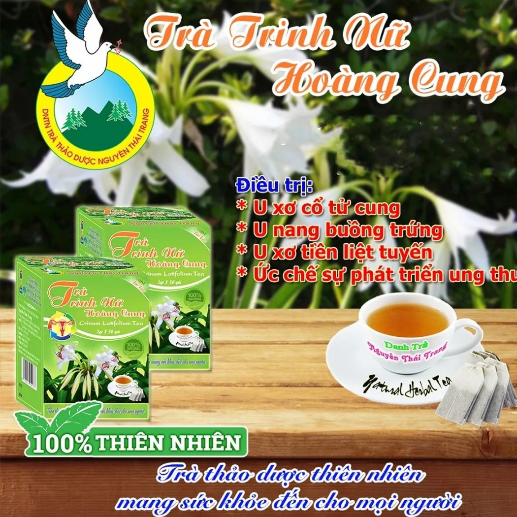Trà trinh nữ hoàng cung cải thiện u xơ tử cung, tiền liệt - nguyên thái trang – thảo dược thiên nhiên - tốt cho sức khỏe