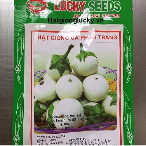 Hạt Giống Cà Tím Cà Pháo Tròn Tím Rd 73 Rạng Đông Gói 0.5Gram
