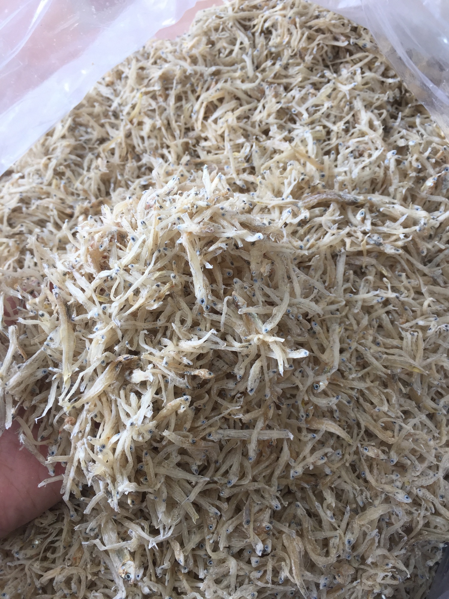 Cá cơm sữa (Phú Quốc)500g