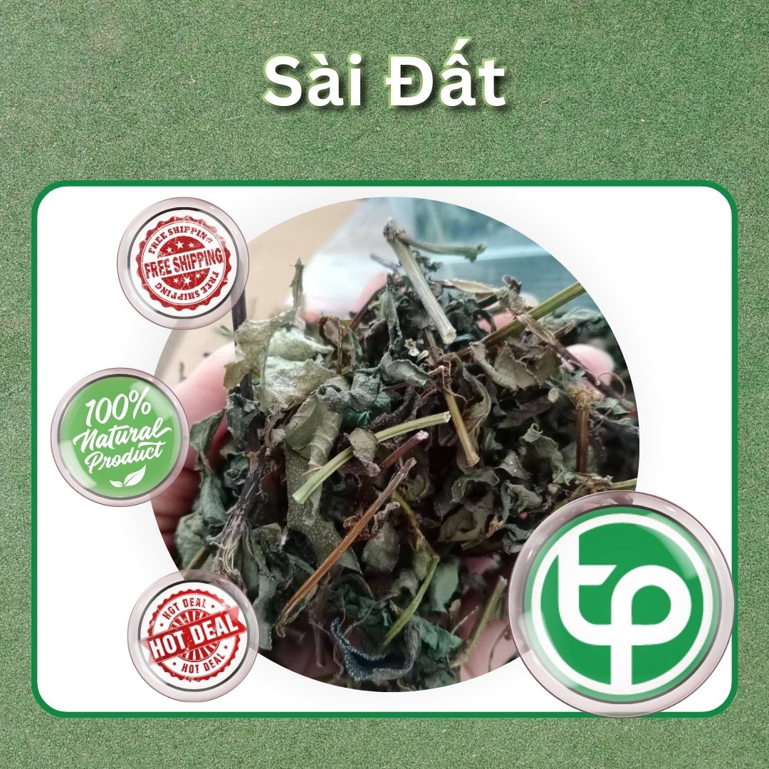 [New Arrivals] Dried Saige Plant 500g - Ton of Benefits - Helps Clear Heat and Detoxify