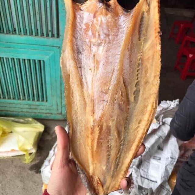 CÁ MỐI KHÔ thịt thơm ngon