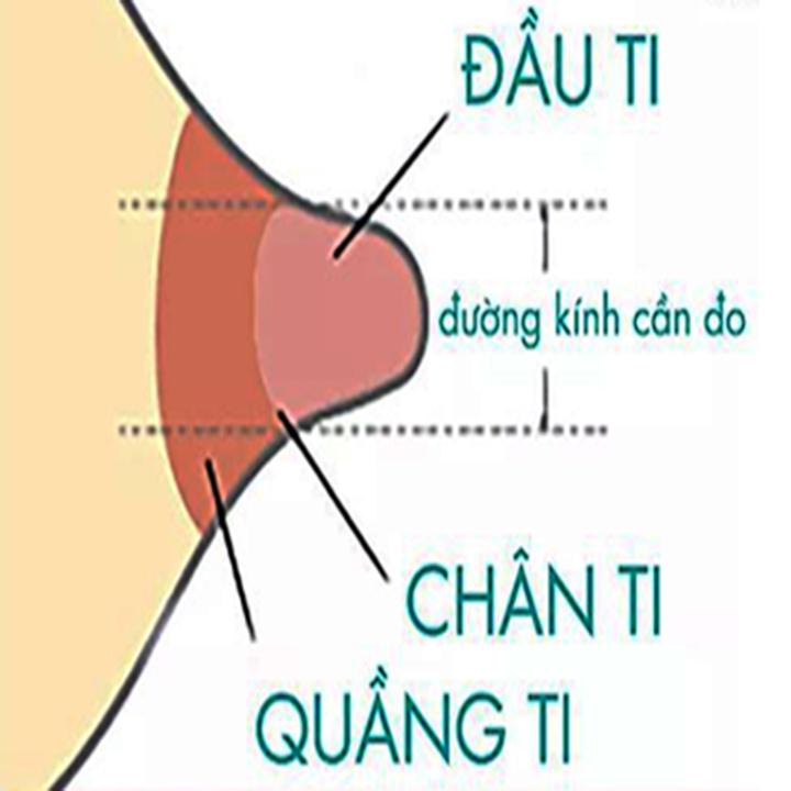 Phễu hút sữa Spectra size 20mm - M1, M2, S2plus, S1plus, 9S, 9plus, Q