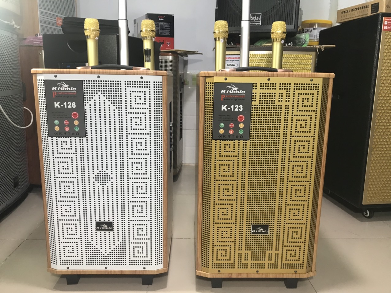 loa kiomic k123 bass 30