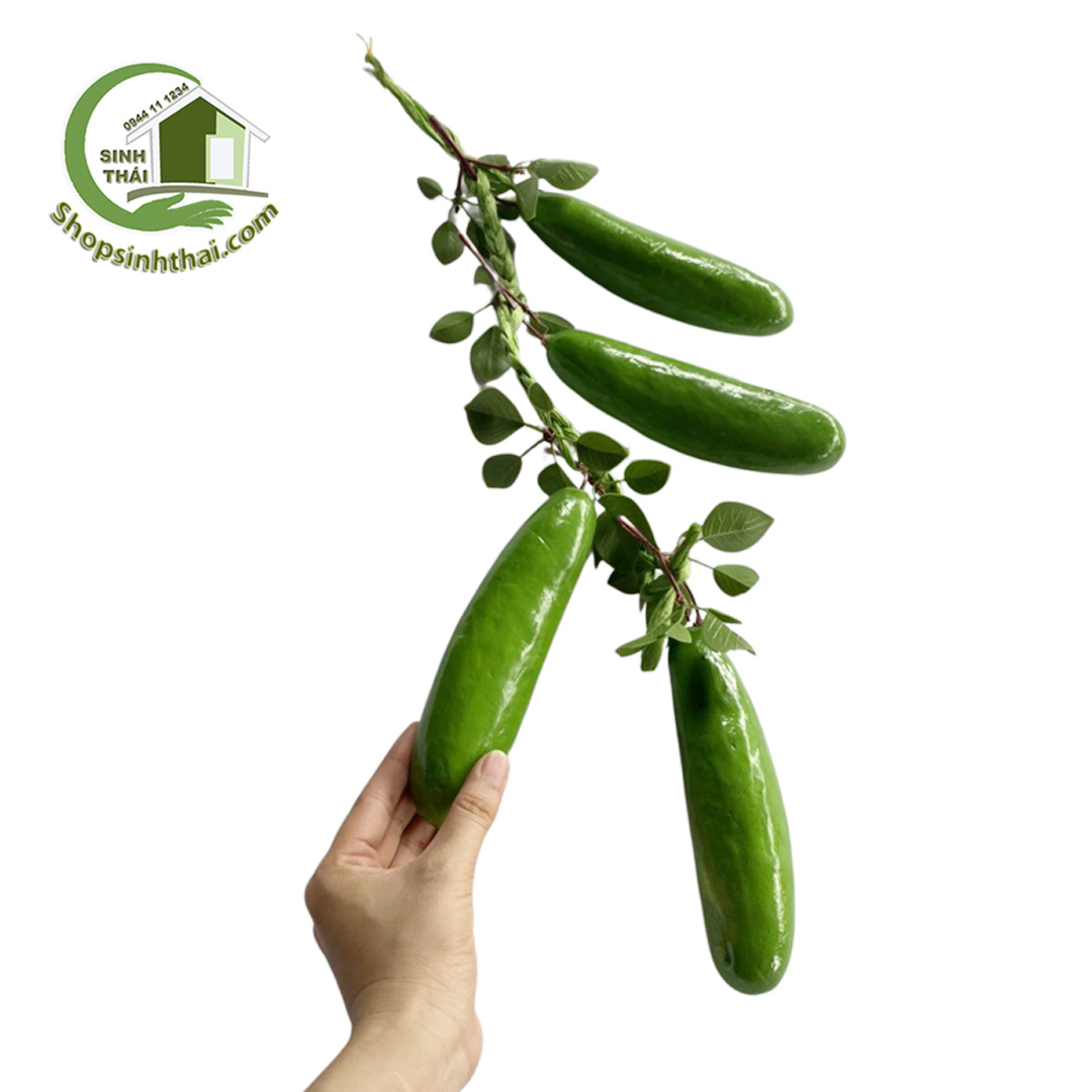 Dây dưa leo giả - Dây củ quả giả cao cấp [ Kho sỉ ]