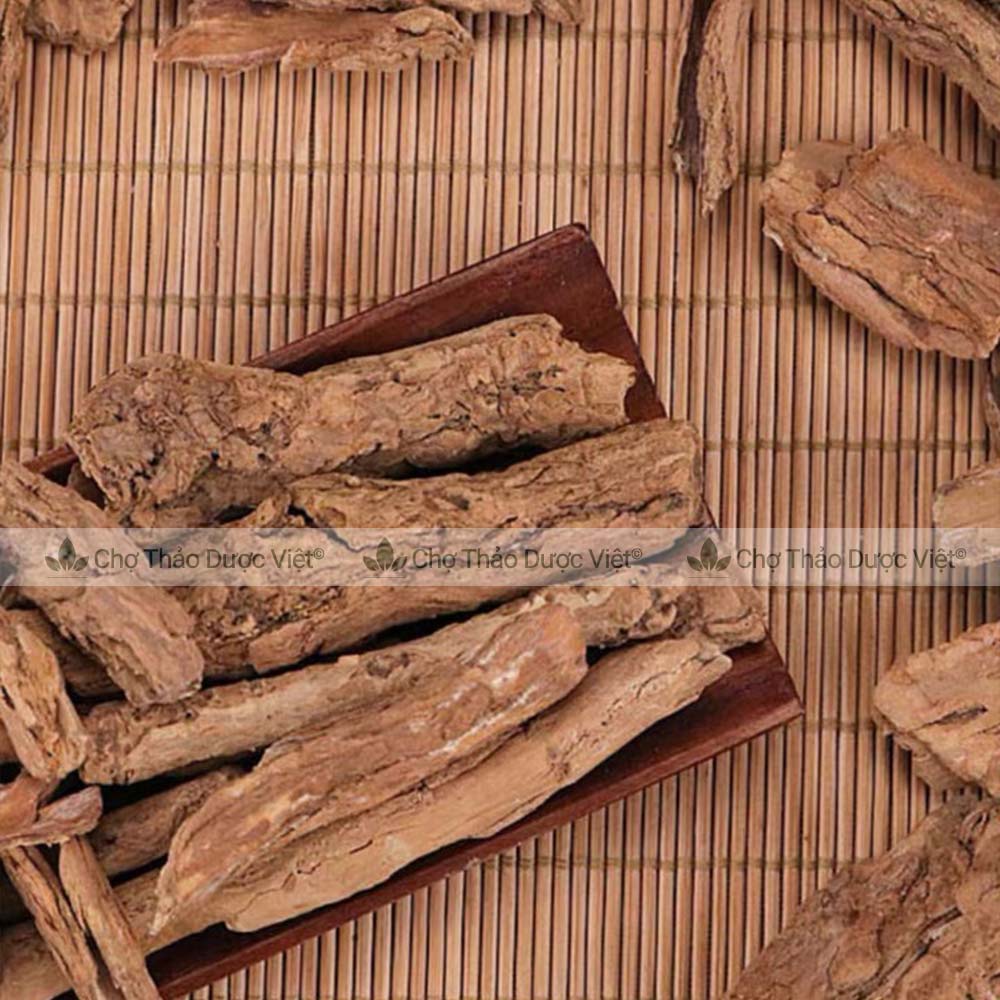 Địa cốt bì khô, sạch 100g - Chợ thảo dược việt