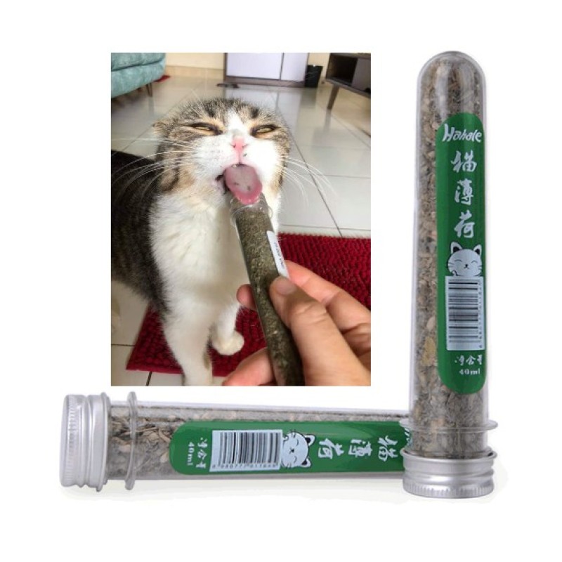 Cỏ bạc hà (catnip) cho mèo - 40ml