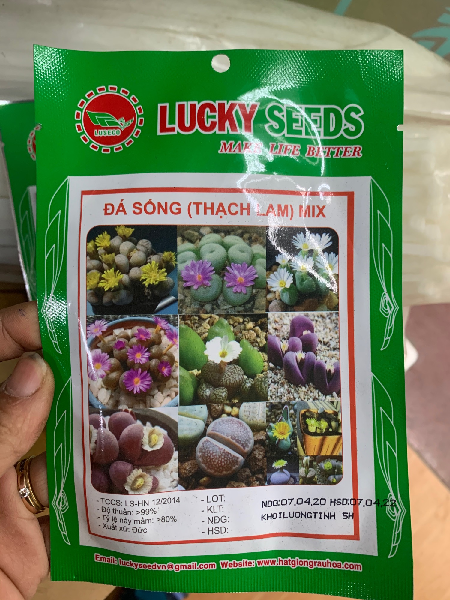 Hạt giống đá sống mix gói 5 hạt - sen mông
