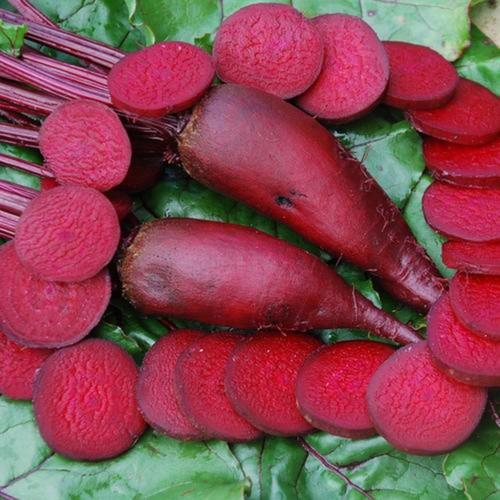 Hạt Giống Củ Dền Đỏ