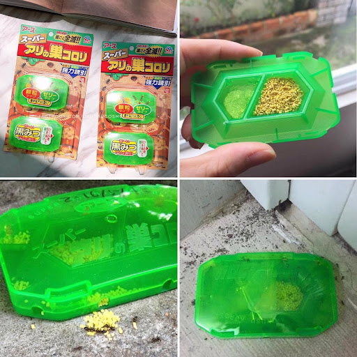 Thuốc diệt kiến hiệu quả Nhật bản