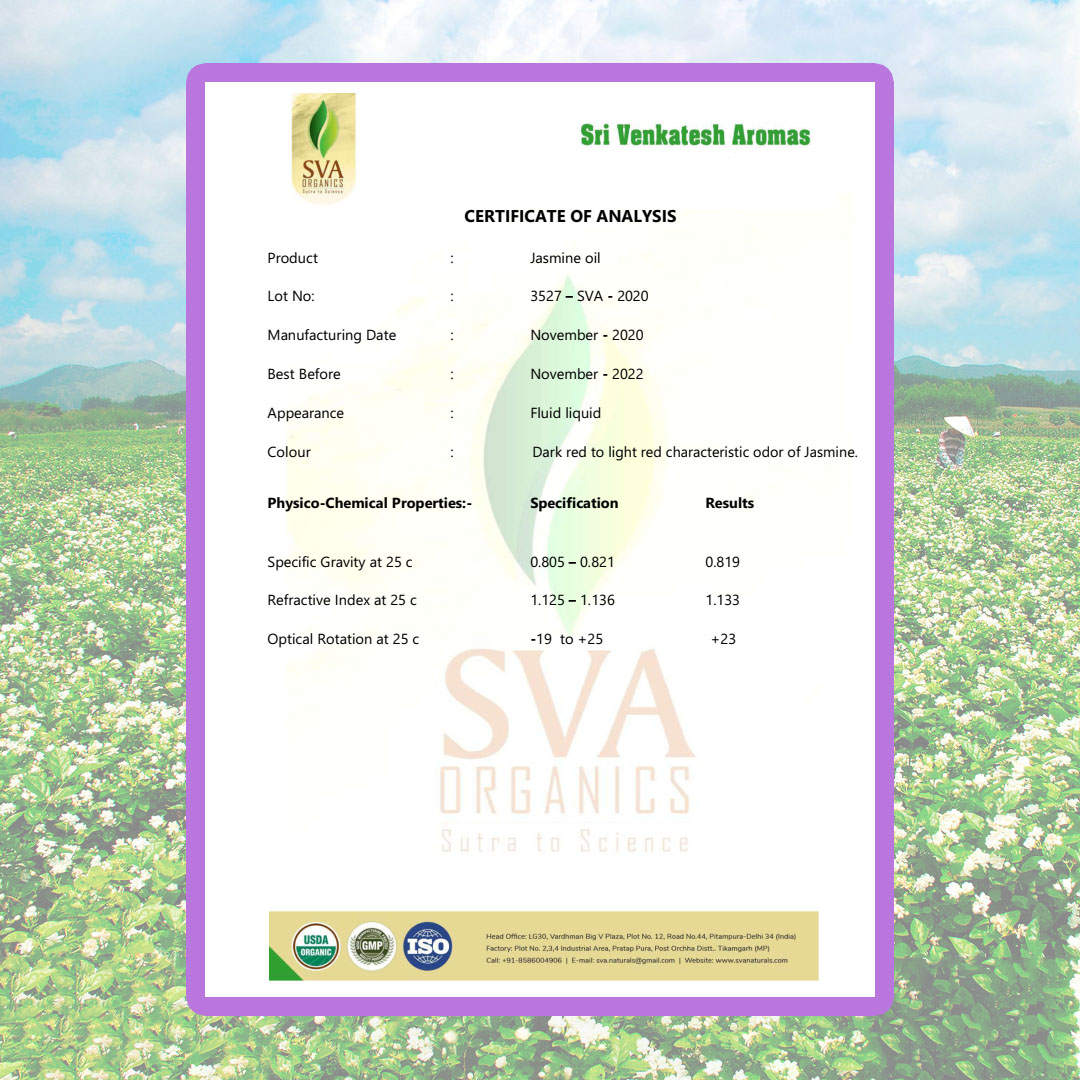 Tinh dầu Hoa Lài AROMA Jasmine Essential Oil, tinh dầu thơm phòng, khơi dậy cảm xúc thăng hoa