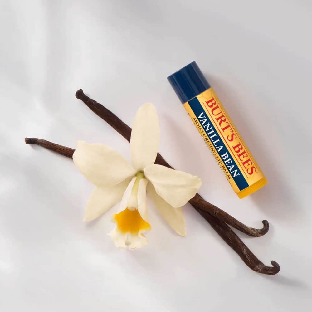 Son dưỡng môi Burt’s Bees Vanilla Bean Lip Balm