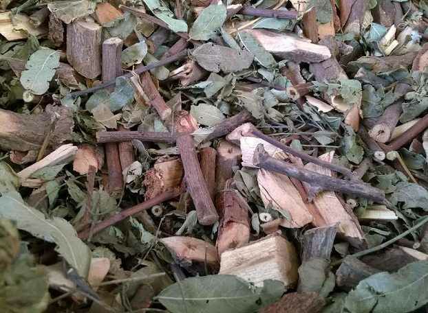 cây muối khô (1kg)