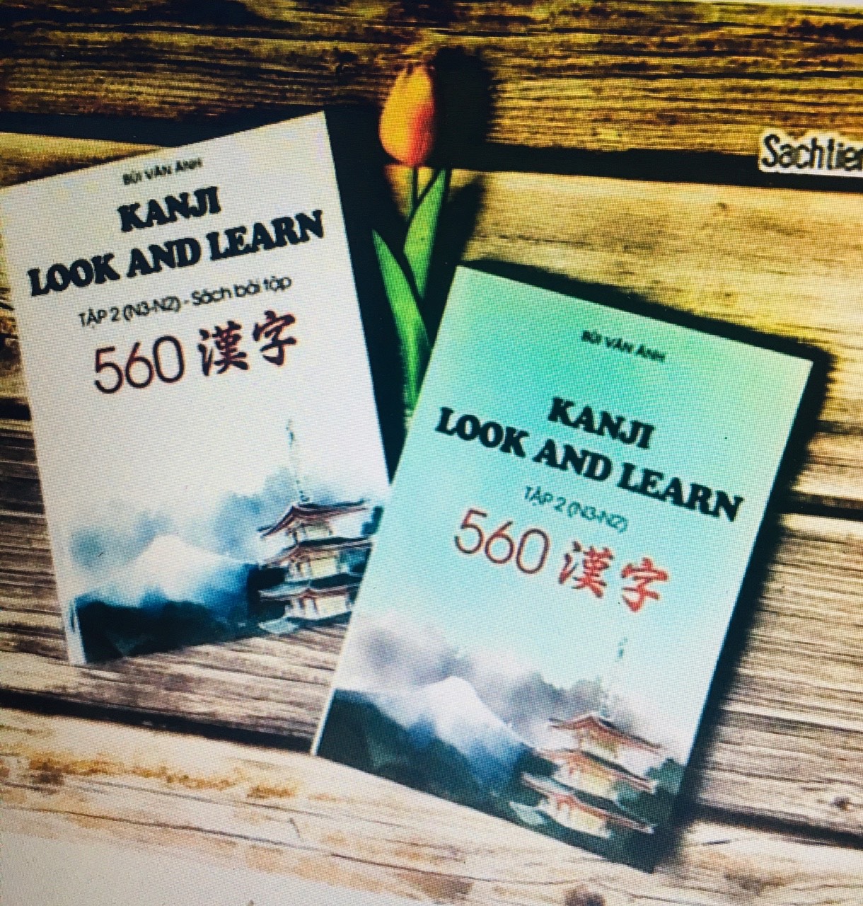 Combo sách Kanji Look And Learn Tập 2 (N3 - N2)