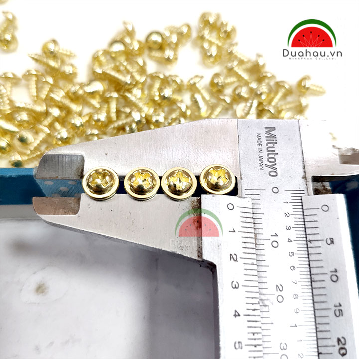 [HCM][1 ký] vít dù 3x10 Mm Đầu + loại 1 Nhập Khẩu