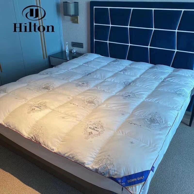 RUỘT CHĂN LÔNG VŨ HITON SIÊU NHẸ, MỀM, ÊM ÁI
