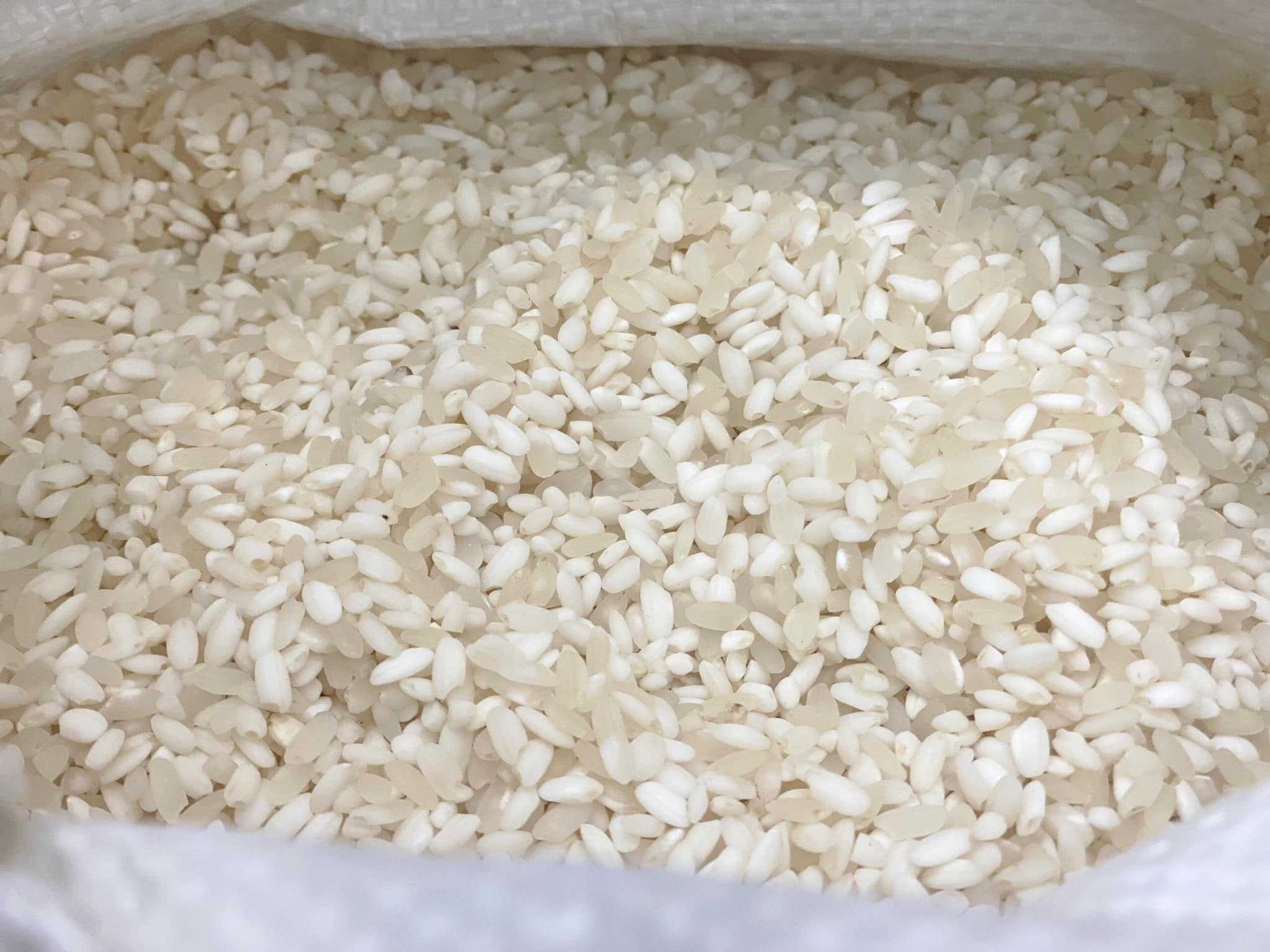 Gạo nếp Tú Lệ đặc sản Tây Bắc