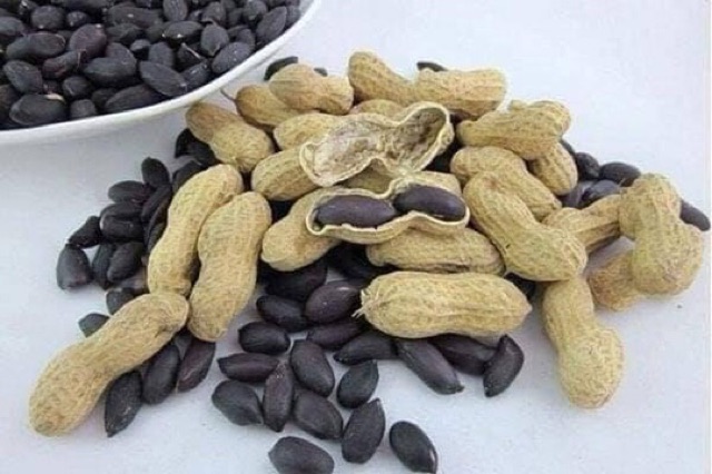 Hạt Giống Lạc Đen