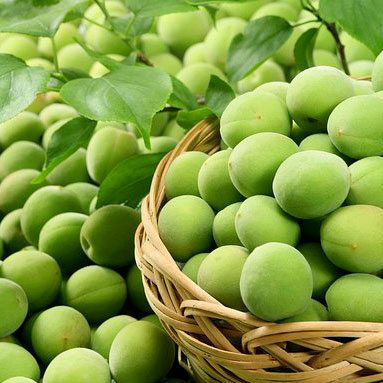 Xí Muội Mơ Không Hạt Loại Ngon (500gr) (NCFOOD)