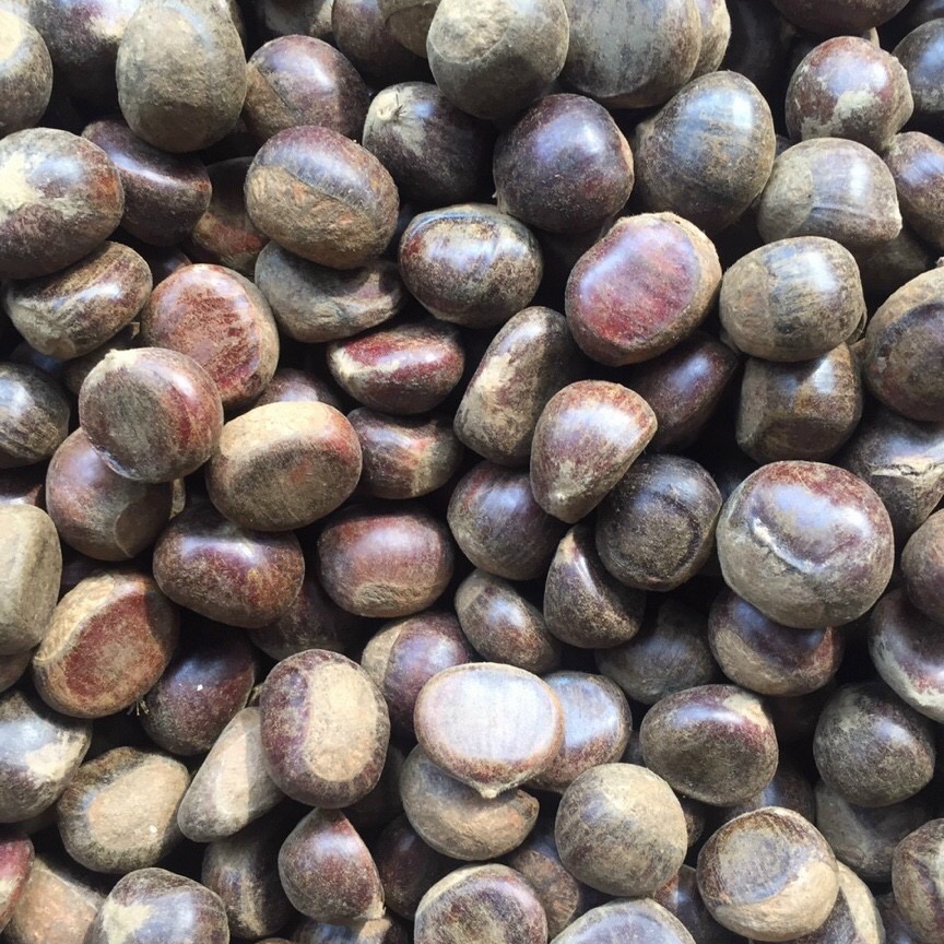 [HCM]Hạt dẻ sống loại 1 kg “Lào cai “