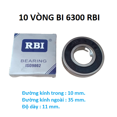 10 vòng bi 6300 RBI chất lượng cao