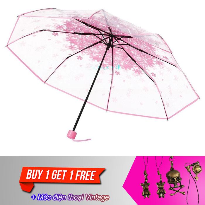 [HCM]Dù xếp trong suốt hoa anh đào V.2