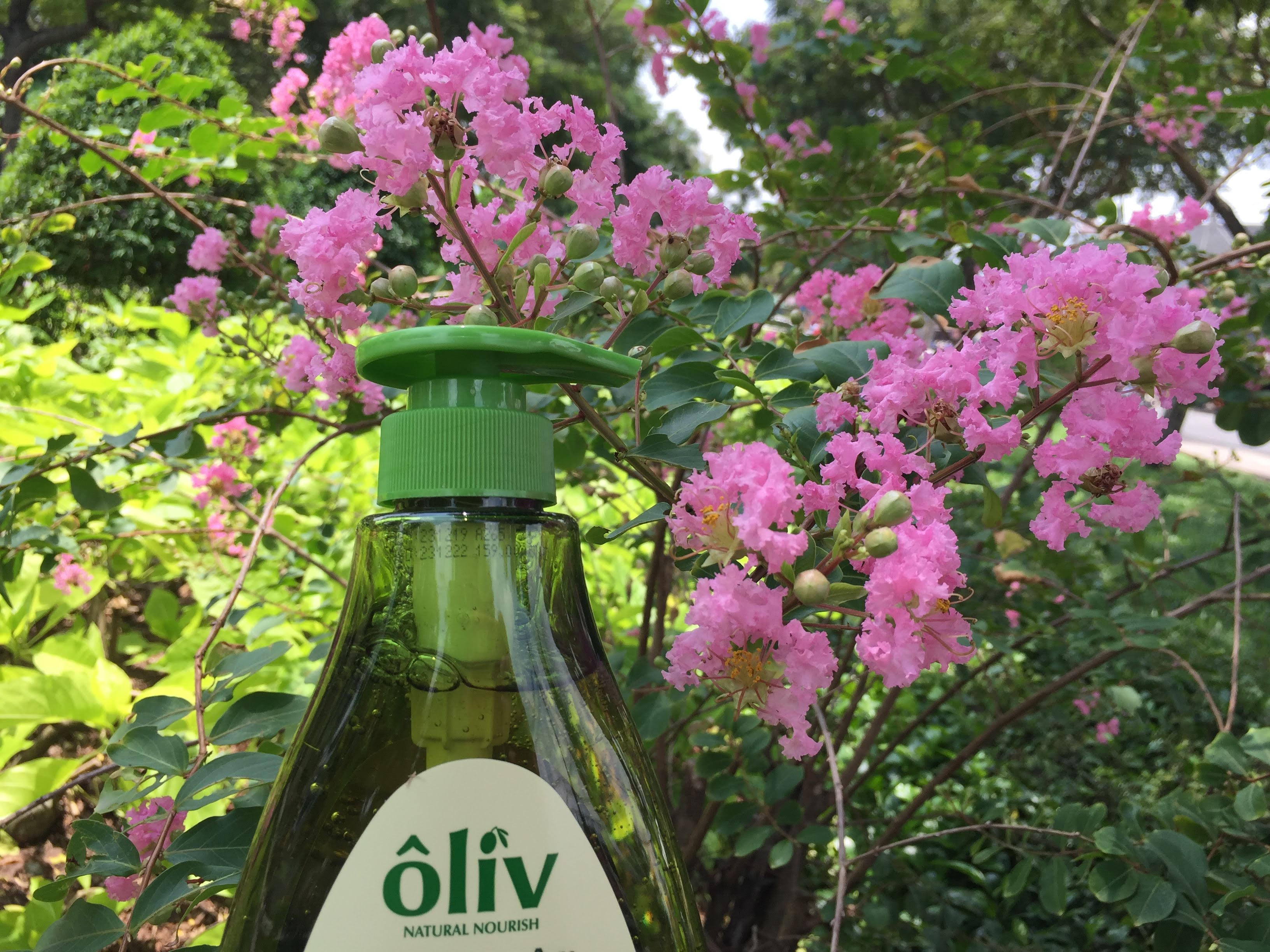 Combo dầu gội + sữa tắm tinh chất OLIVE 650 ml