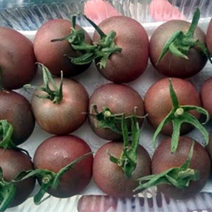 30 Hạt Giống Cà Chua Socola Nhiều Dinh Dưỡng