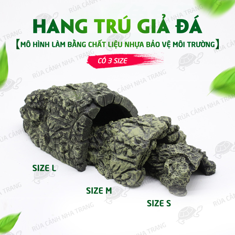 HANG TRÚ GIẢ ĐÁ CHO RÙA