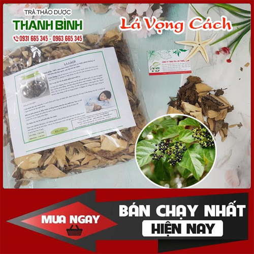 Lá Vọng Cách Khô 1Kg Hàng Loại 1 - Đông Y Thanh Bình